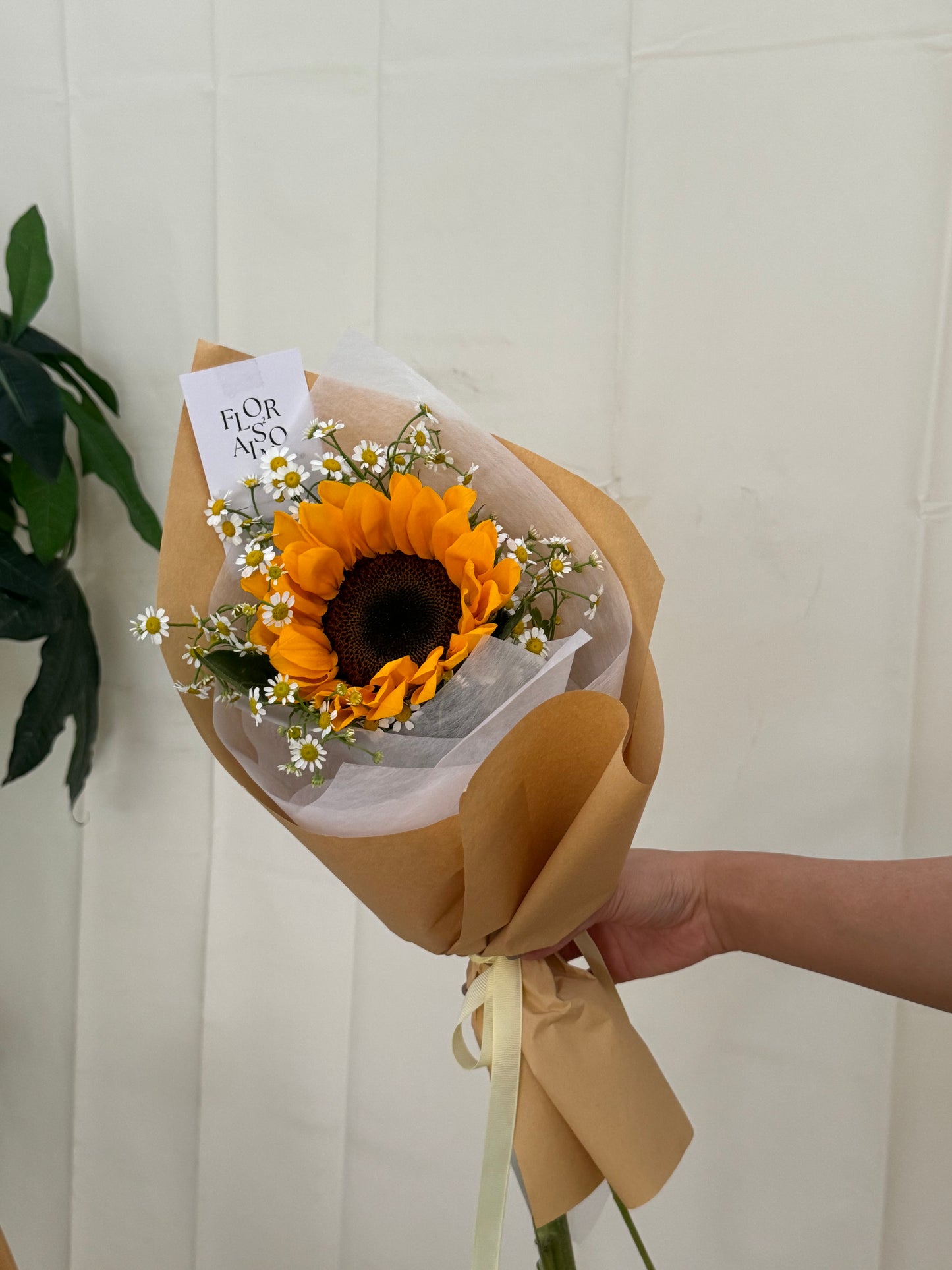 The Graduation Bloom